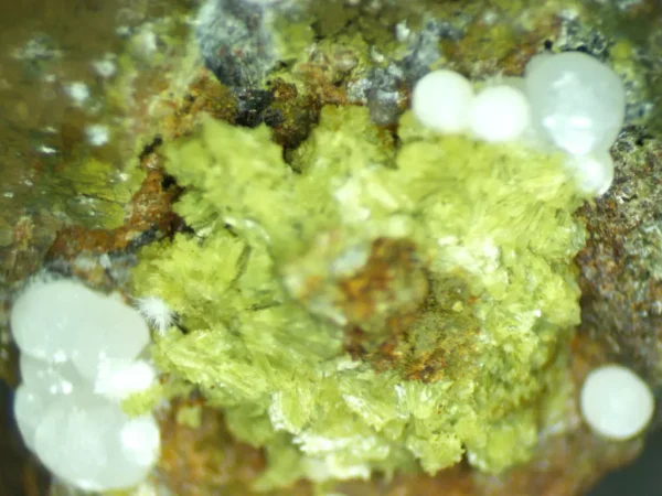 Calcioferrite, Carbonate-rich Fluorapatite