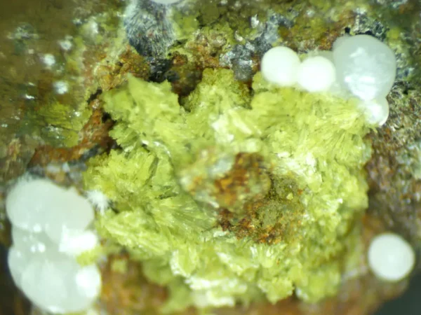 Calcioferrite, Carbonate-rich Fluorapatite