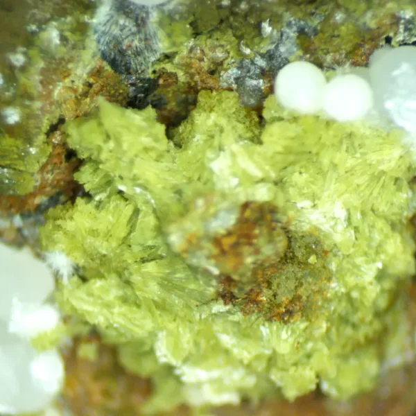 Calcioferrite, Carbonate-rich Fluorapatite