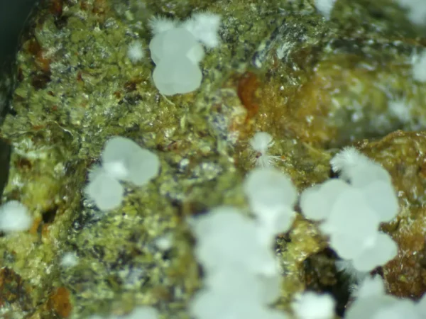 Calcioferrite, Carbonate-rich Fluorapatite