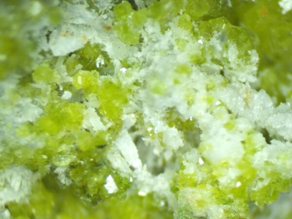 Pyromorphite with small white tabular cerussite crystals.