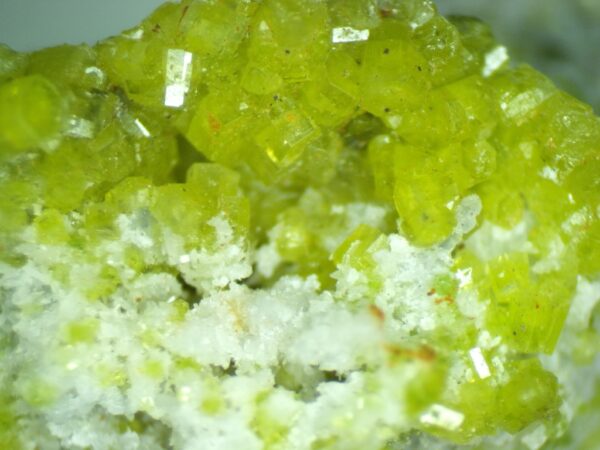 Pyromorphite with small white tabular cerussite crystals.