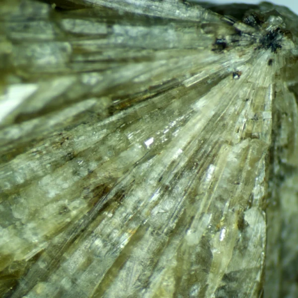 Vesuvianite