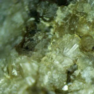 Vesuvianite