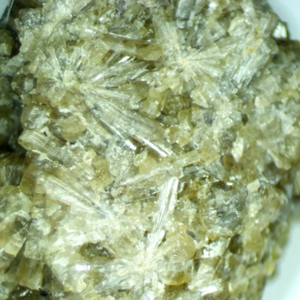 Vesuvianite