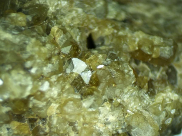 Vesuvianite