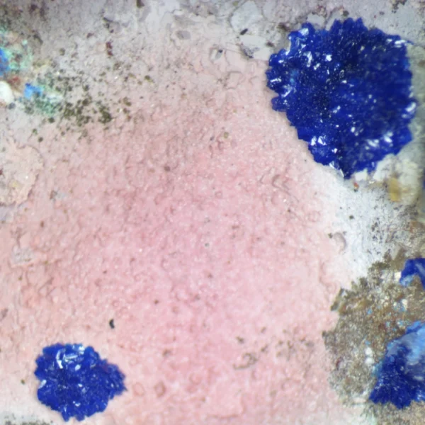 Spherocobaltite, Azurite